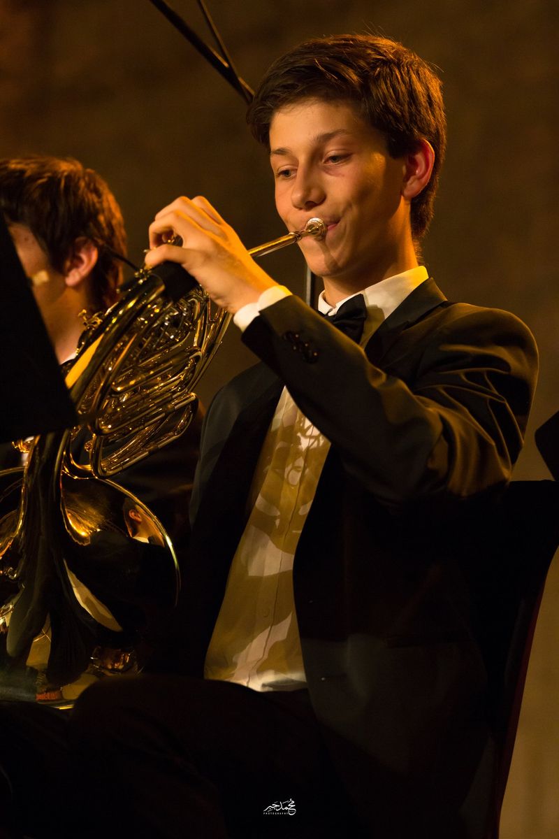 A horn player in the orchestra
