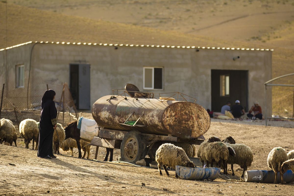 A woman with sheep by a desert house