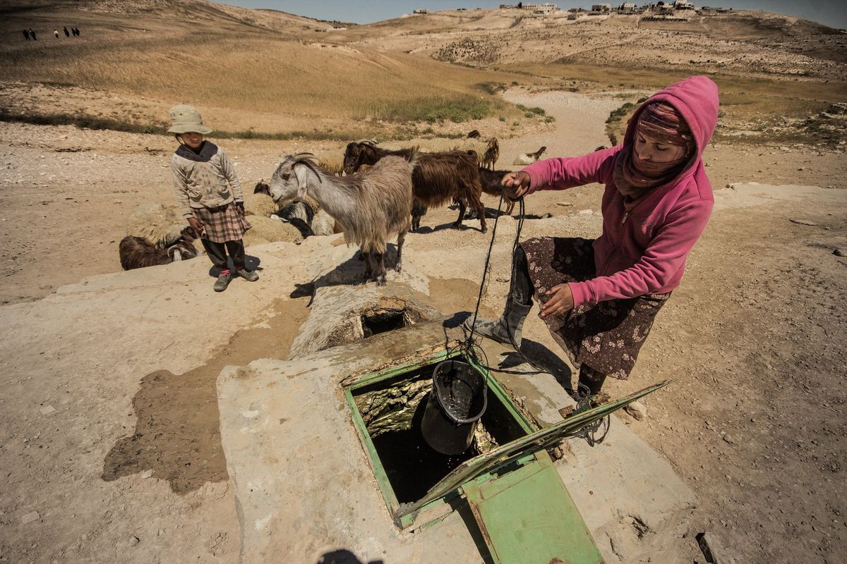 Children drawing water from a well with goats